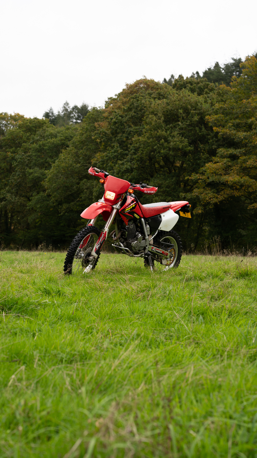 Honda XR250 enduro bike in a forest clearing